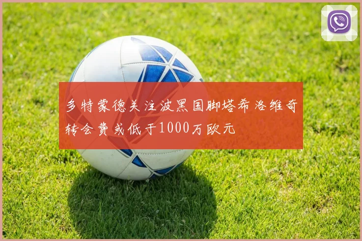 多特蒙德关注波黑国脚塔希洛维奇转会费或低于1000万欧元